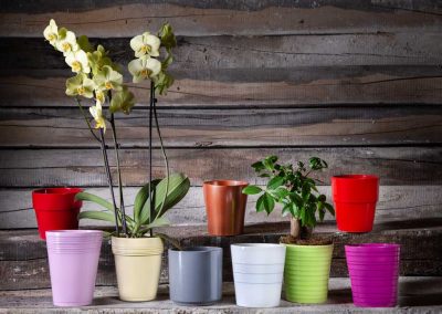 Produktfotografie Blumentoepfe aus Keramik - Set.