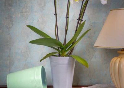 Produktfotografie Blumentoepfe aus Keramik mit Orchidee.