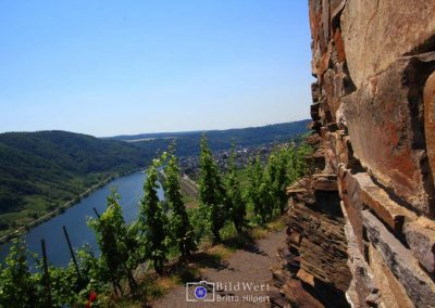 Naturstein am Weinberg: Moselgrauwacke
